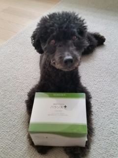 SOD���͂����[