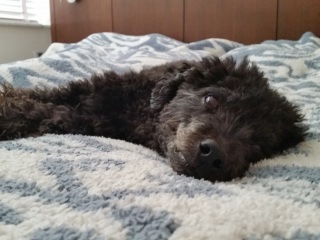 �����ʂ�