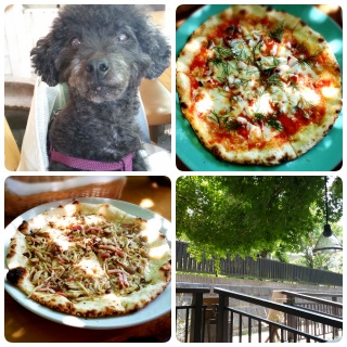 ���C�ɓ���s�U